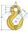 SALK6_layout (1).jpg